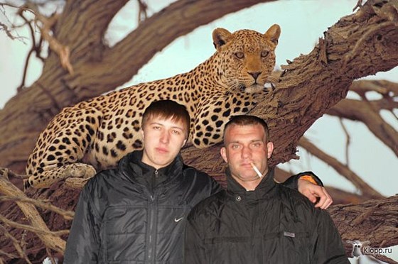 Рисунки: Фотошоп