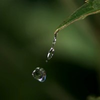 Assyl's Portfolio